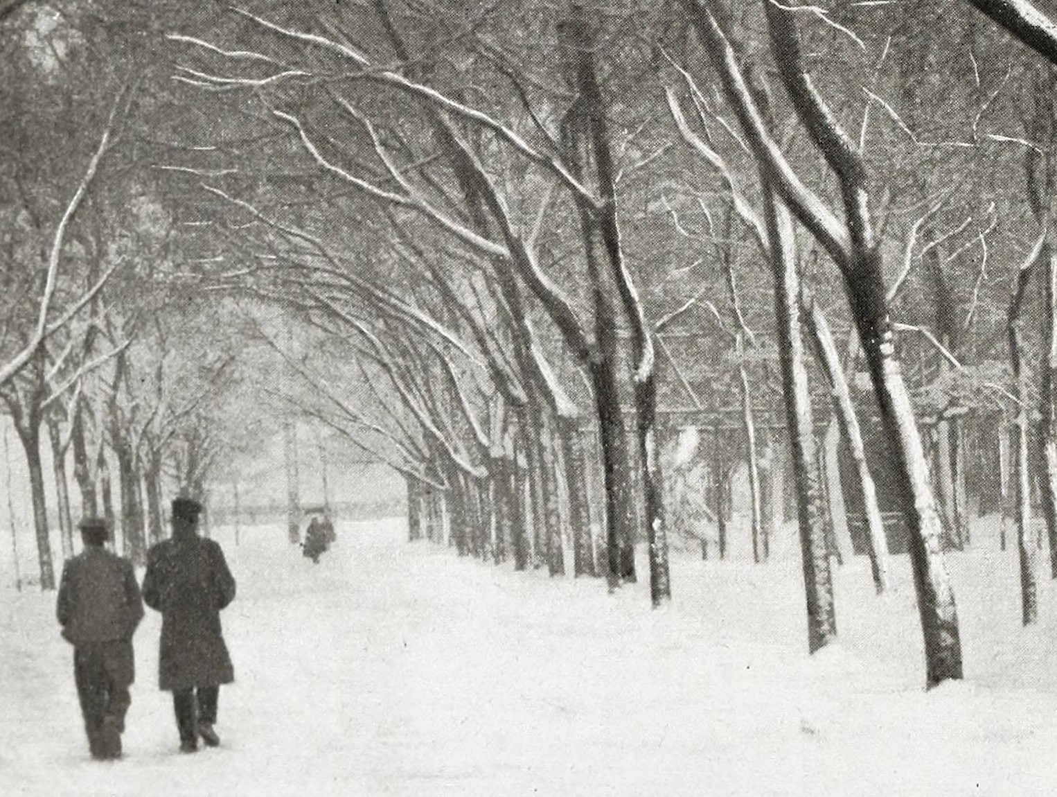 La gran nevada de Madrid de noviembre de 1904
